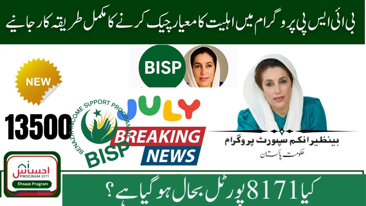 Ehsaas 8171 Web Portal July 2025